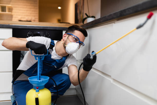 Best Pest Inspection Near Me  in Waldo, FL