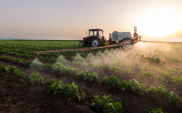 Pest Prevention Services in Waldo, FL