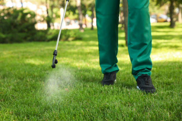 Best Affordable Pest Control Services  in Waldo, FL
