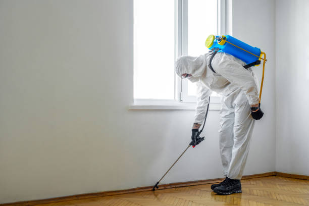 Best Wasp Removal Services  in Waldo, FL