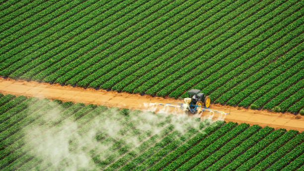 Best Ant Control Services  in Waldo, FL