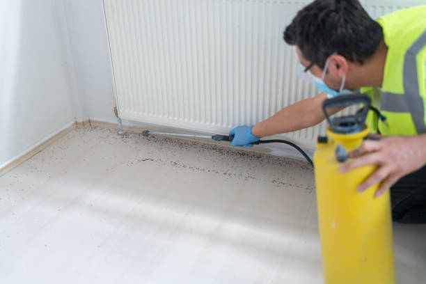 Best Flea Control Services  in Waldo, FL