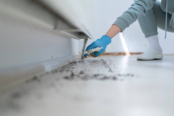 Reliable Waldo, FL Pest Control Solutions
